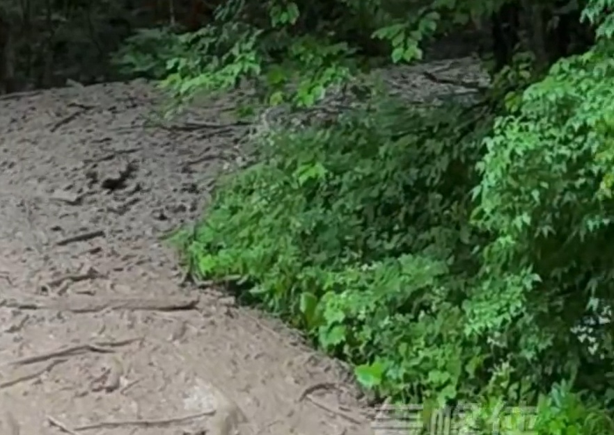九寨沟通报:受短时强降雨引发泥石流,目前滞留游客正有序安全撤离 九寨沟通报:受短时强降雨引发泥石流,目前滞留游客正有序安全撤离