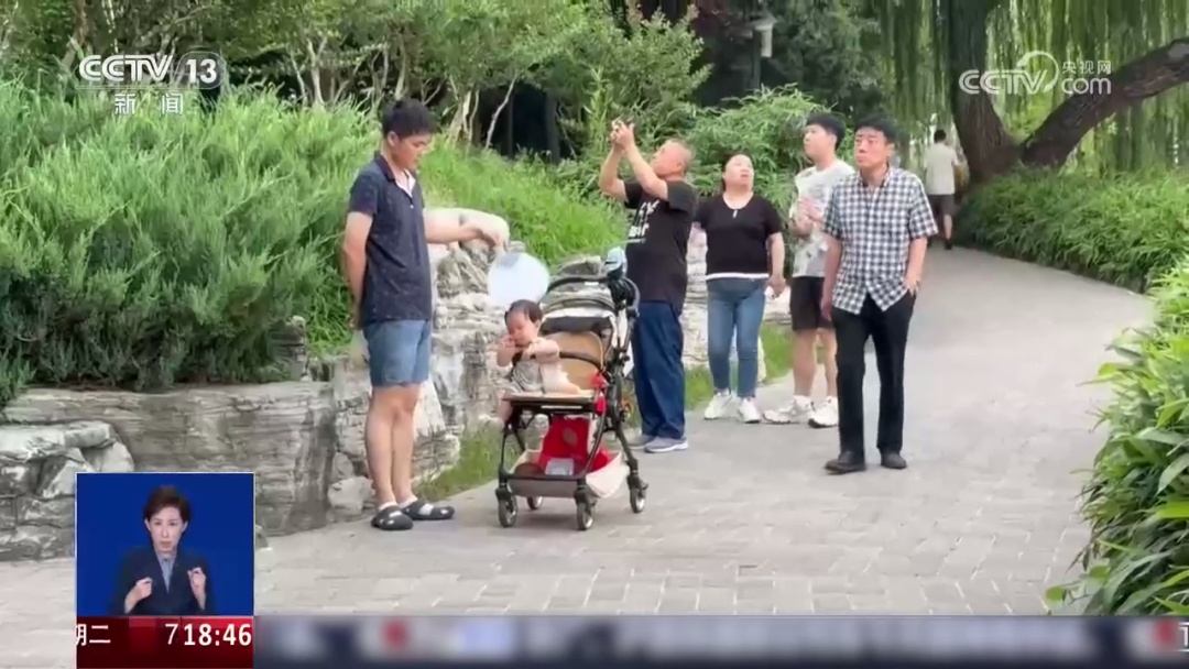 今年蚊子变多了?“血甜”的人更招蚊子?真相来了 今年蚊子变多了?“血甜”的人更招蚊子?真相来了