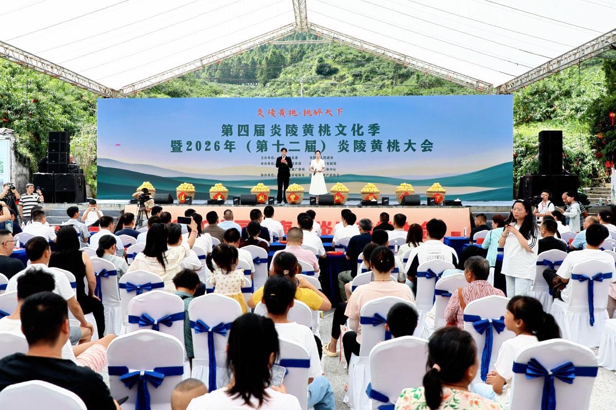 湖南炎陵举办炎陵黄桃文化季 避暑游“升温” 湖南炎陵举办炎陵黄桃文化季 避暑游“升温”