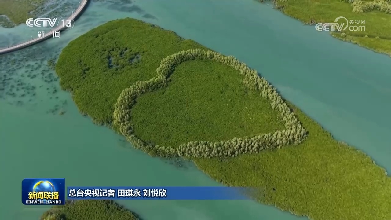 我国成为世界上少数红树林面积持续增加的国家之一 我国成为世界上少数红树林面积持续增加的国家之一