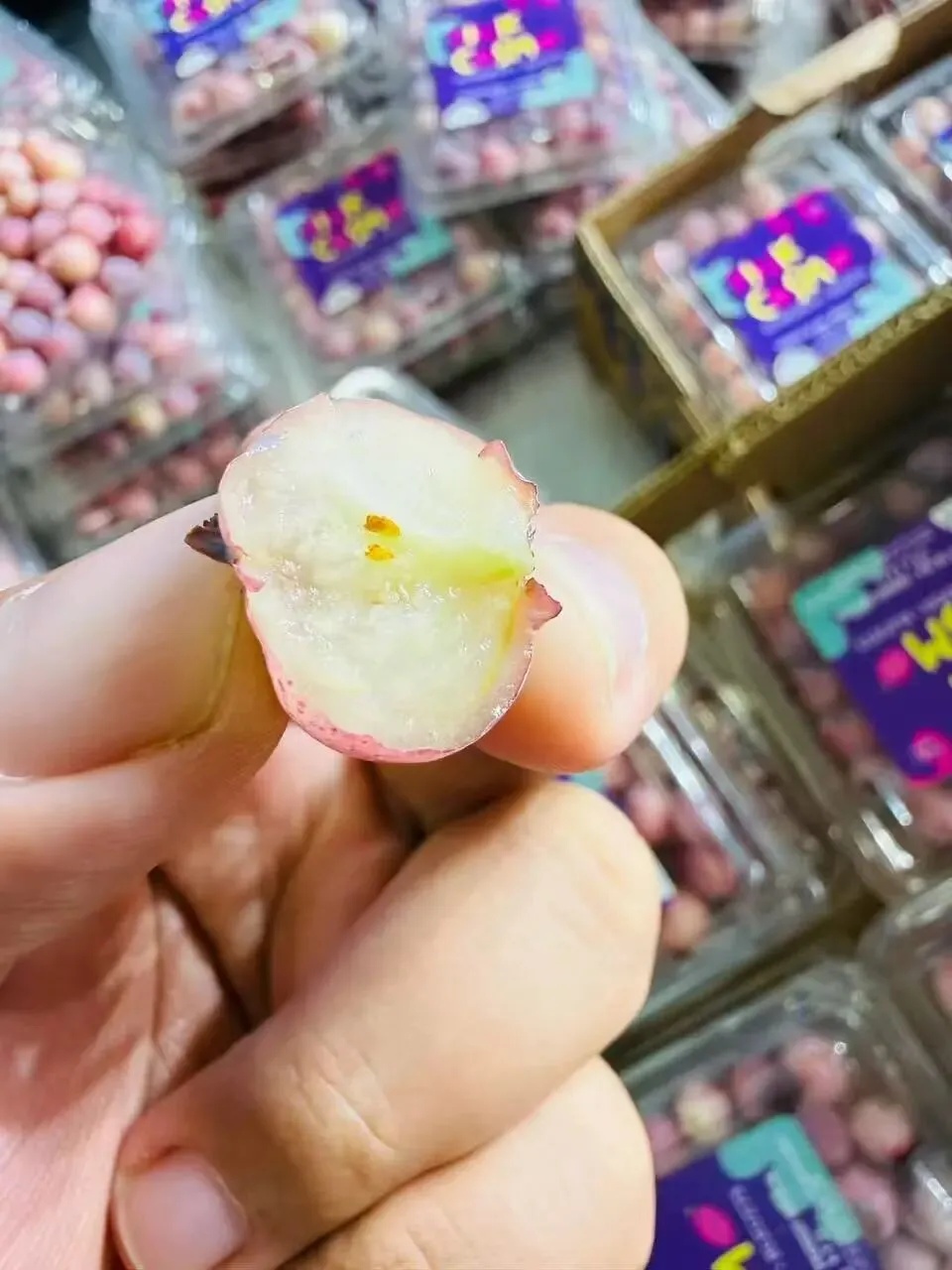 640元/斤！在浙江市场出现！价格和普通版差近20倍，网友：确定不是AI生成？