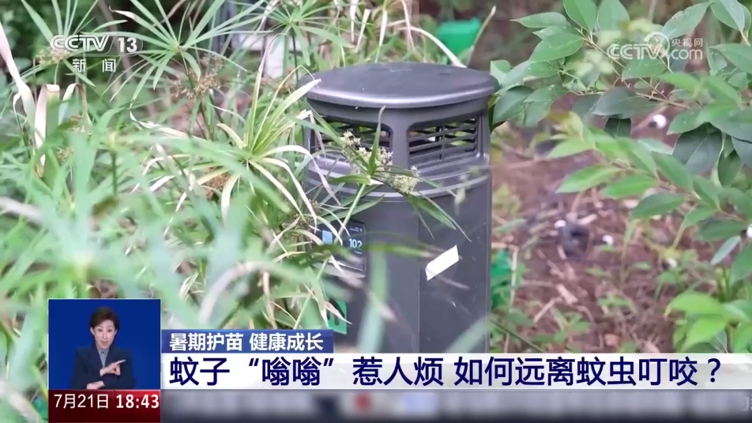 今年蚊子变多了?“血甜”的人更招蚊子?真相来了 今年蚊子变多了?“血甜”的人更招蚊子?真相来了