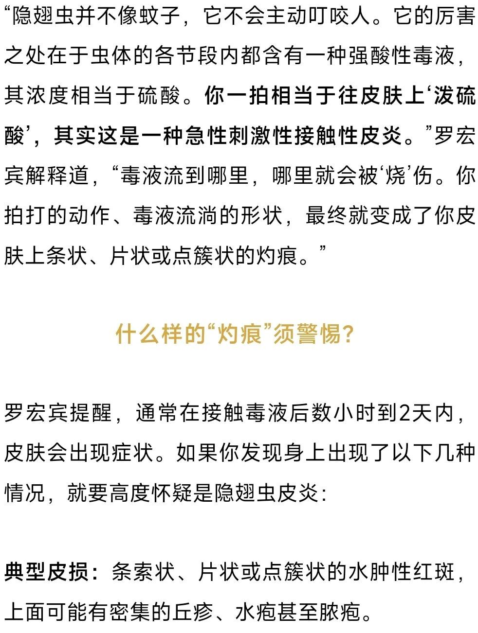 杭州又有人中招！紧急提醒：千万别拍这种虫子