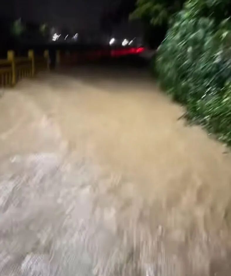 广东河源一女子被大水冲走,家属发帖求助,当地:水位已下降,都在全力搜救 广东河源一女子被大水冲走,家属发帖求助,当地:水位已下降,都在全力搜救