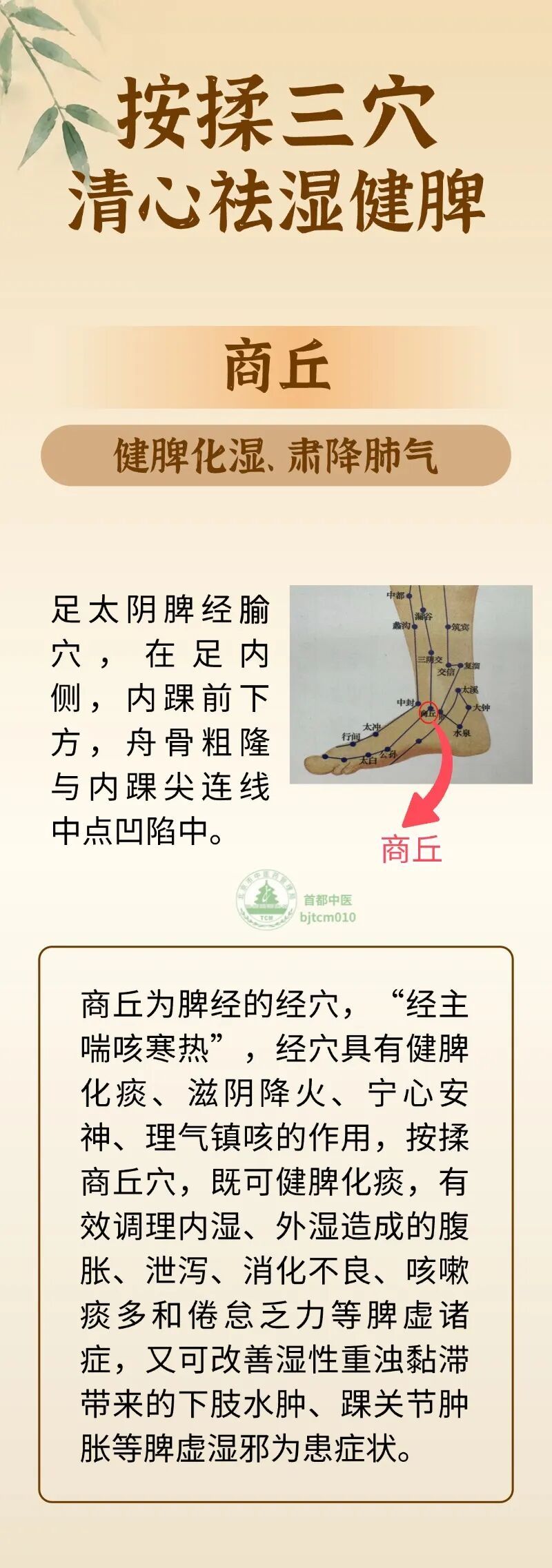 3个祛湿健脾穴,助力大暑养生事半功倍 3个祛湿健脾穴,助力大暑养生事半功倍
