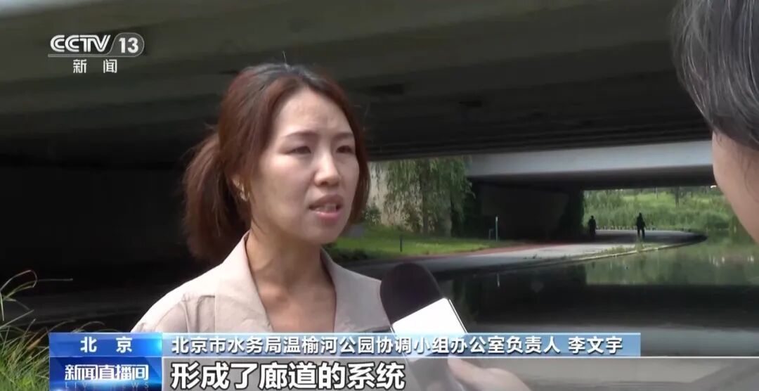 黑鹳、豹猫、中华斑羚、华北豹……北京正成为珍稀野生动物宜居家园 黑鹳、豹猫、中华斑羚、华北豹……北京正成为珍稀野生动物宜居家园