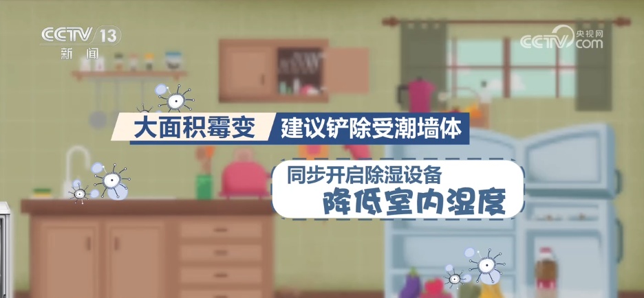 台风积水退去 家中霉菌藏健康隐患 专家支招如何清理