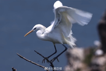 辽宁大连长山群岛纳入世界自然遗产 辽宁大连长山群岛纳入世界自然遗产