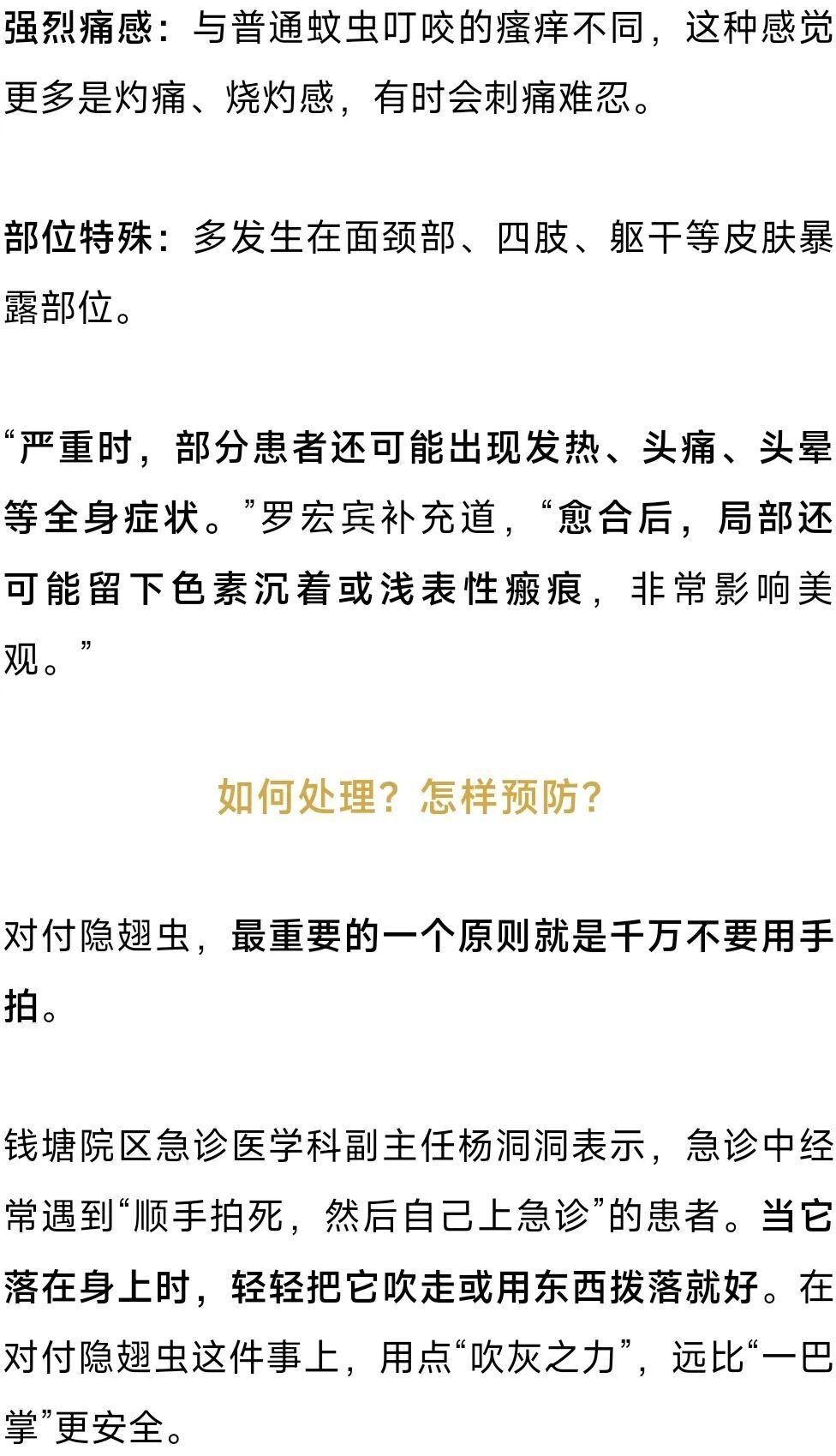 杭州又有人中招！紧急提醒：千万别拍这种虫子