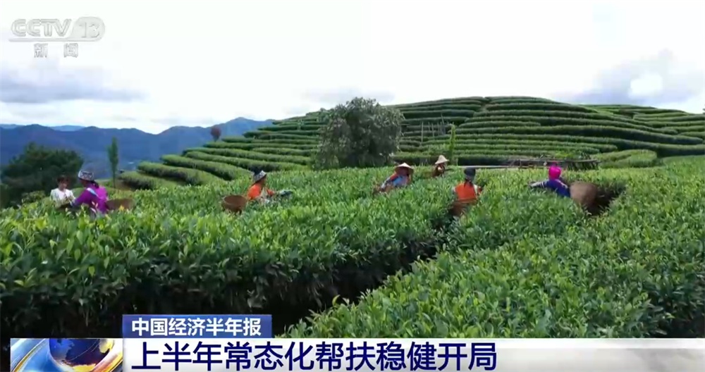 常态化帮扶第一年“账本”迎来新变化 产业就业齐头并进
