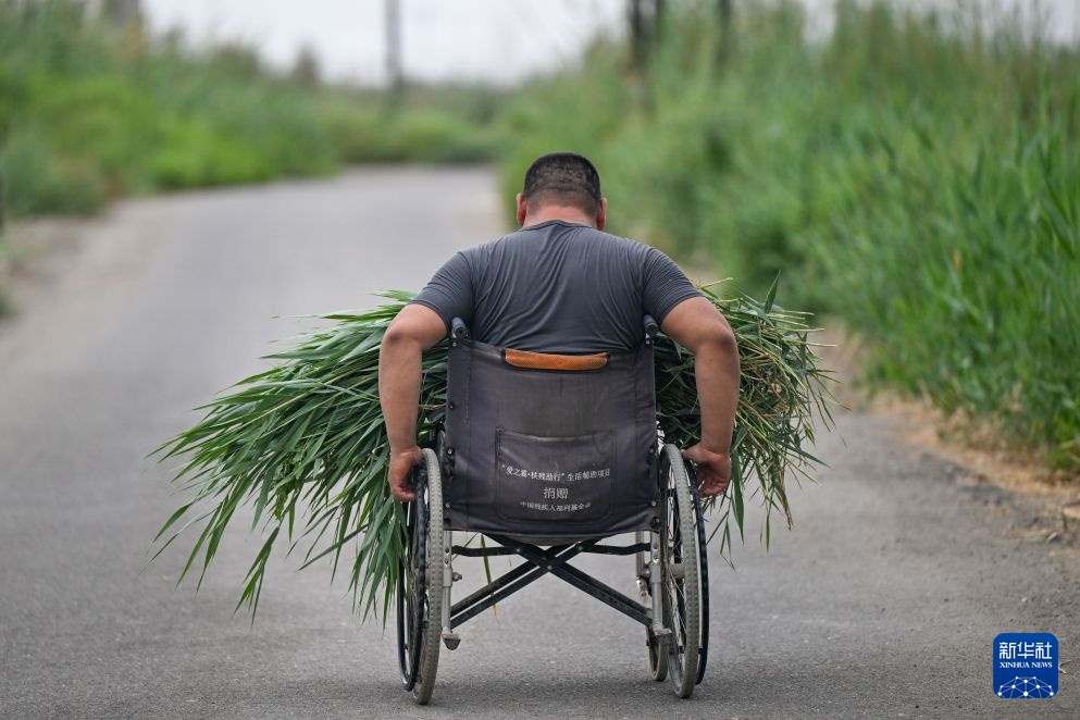 图片故事丨以手为足 向阳而生——劳模艾合买提的奋斗人生