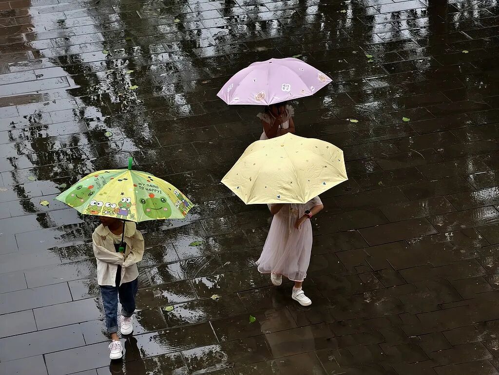 暴雨到大暴雨要来了！未来三天，河北这些地区注意→
