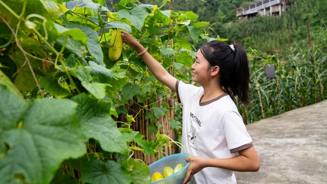 “我要喂猪，可以等会儿吗”，四川彝族女孩，考上了中国政法大学