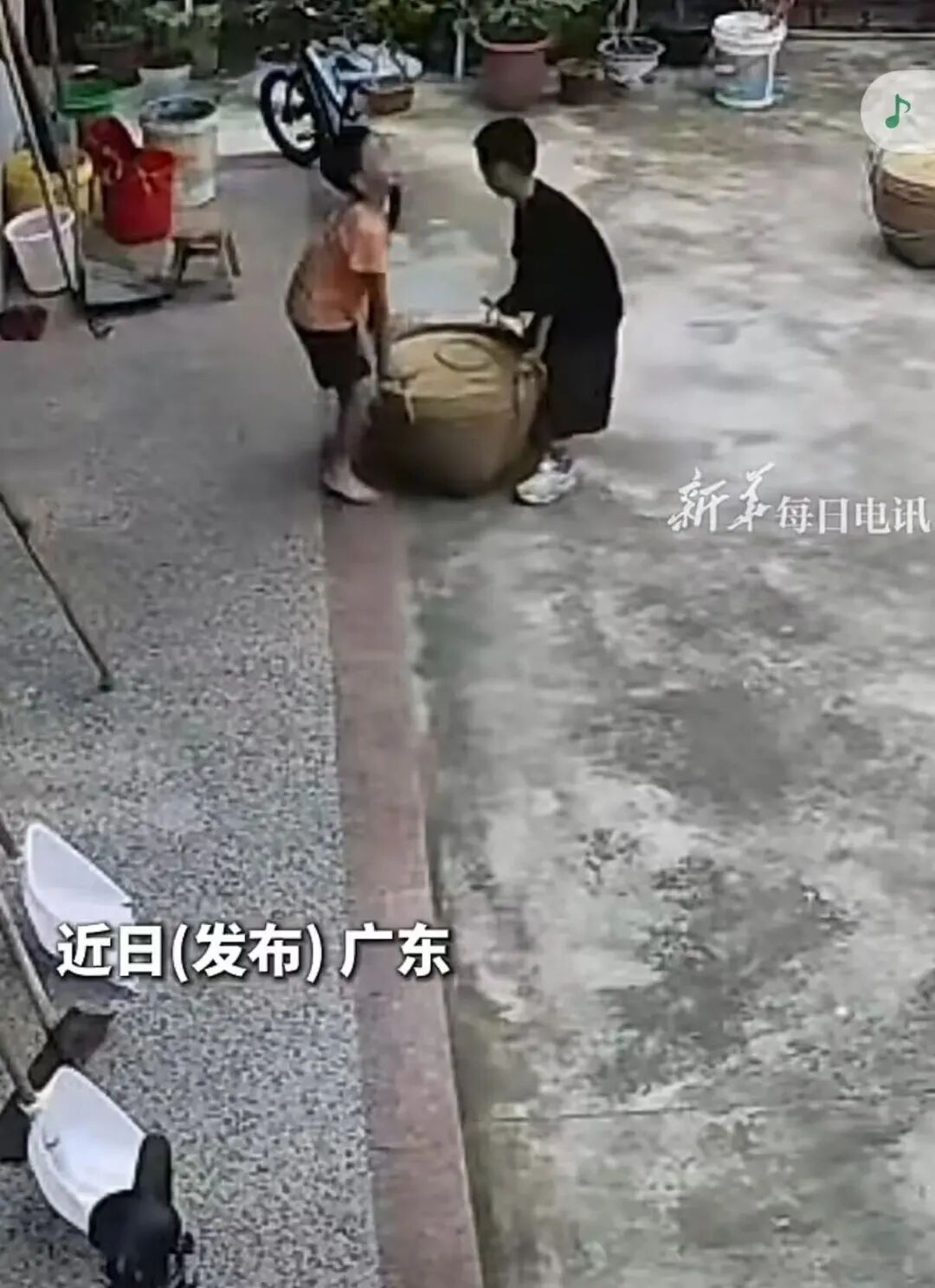 风雨欲来，小哥俩合力抢收粮食，网友：稚子心装满责任感