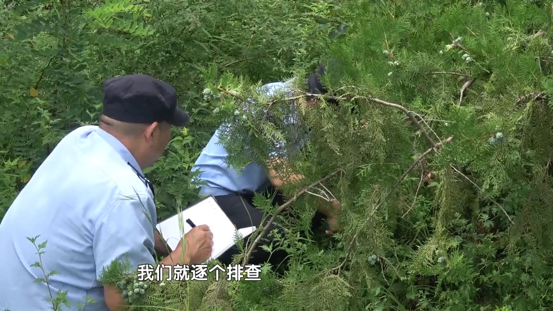 北京警方：张某，刑事拘留!