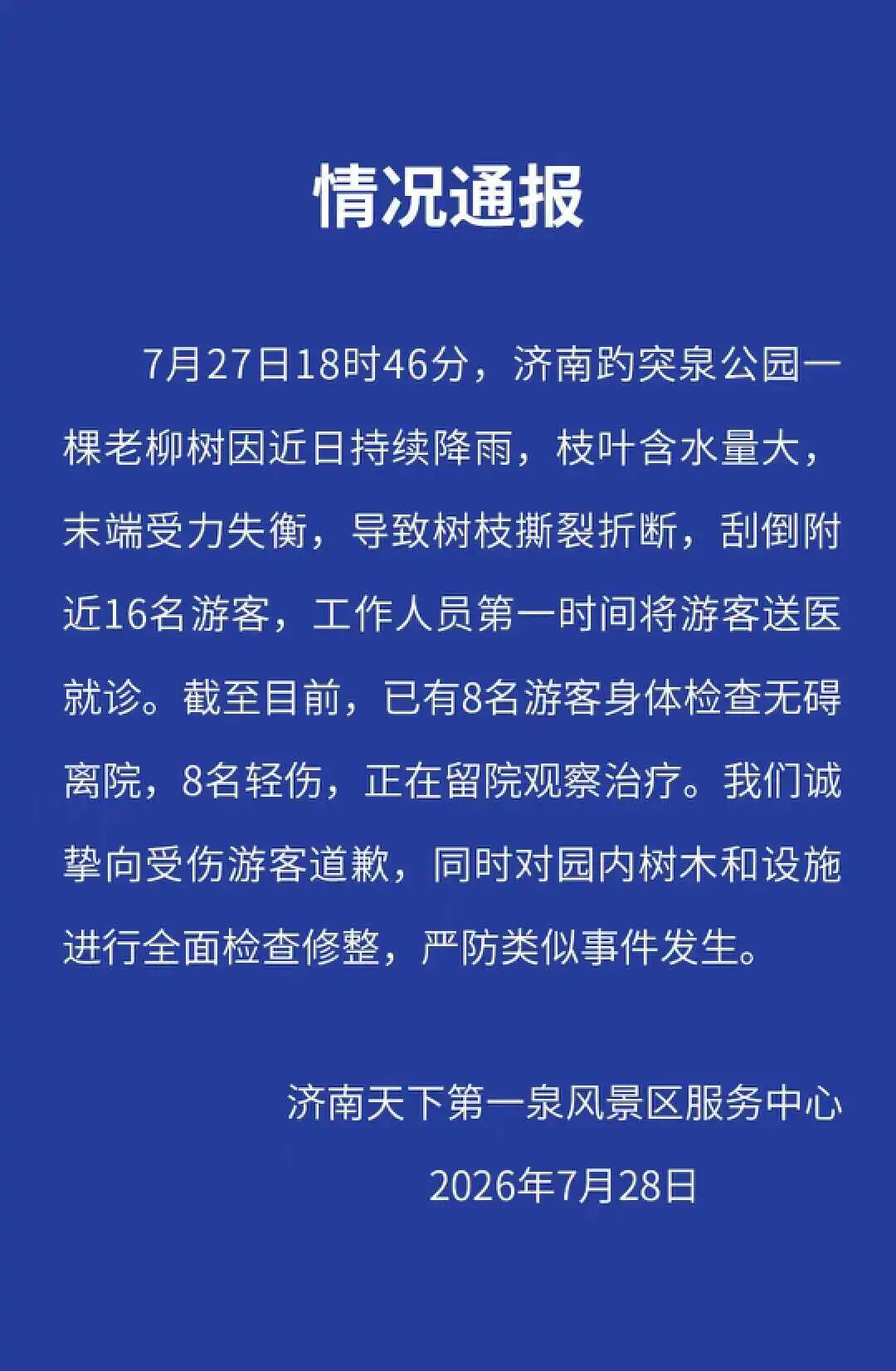 济南知名景区老柳树折断，16名游客被刮倒！通报→