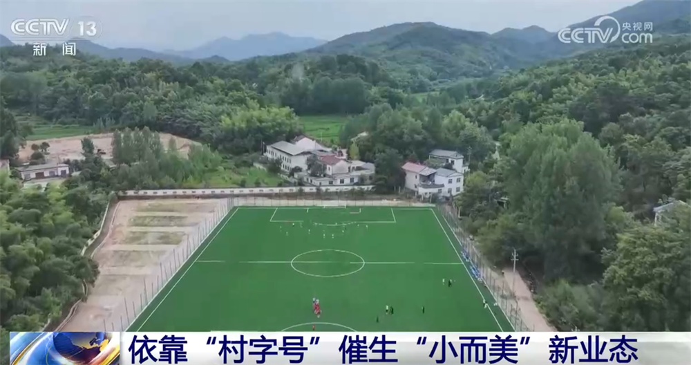 常态化帮扶第一年“账本”迎来新变化 产业就业齐头并进