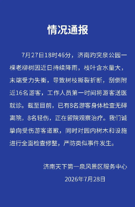 趵突泉公园树枝折断致8人轻伤