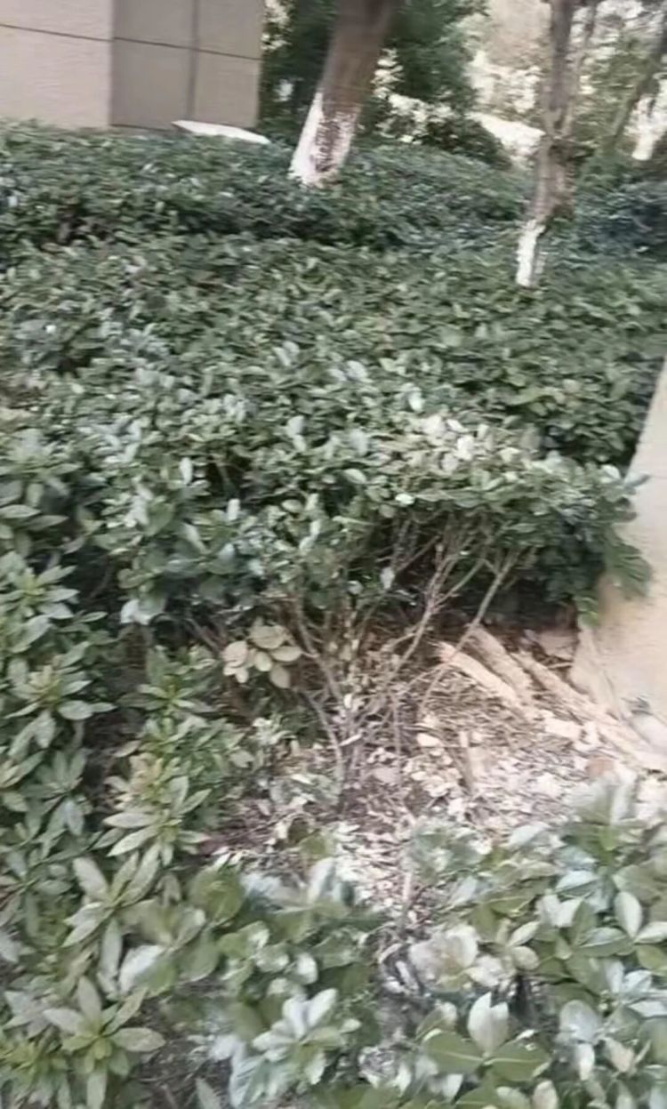 20岁女孩从18楼坠落奇迹生还，家属：事发前曾与男友发生争吵