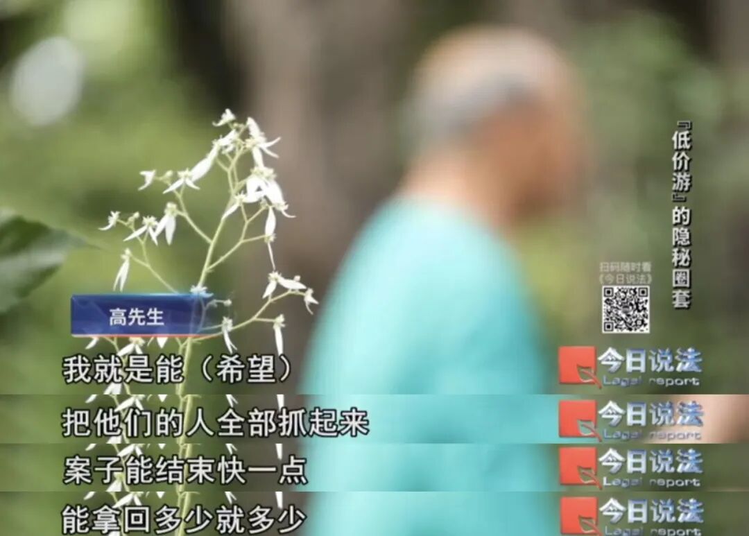 为了19.9元的低价旅游，他们半生的积蓄可能血本无归……