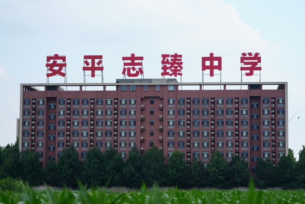 衡水通报多名公职人员被举报侵吞学校资产：成立联合调查组，全面深入调查核查