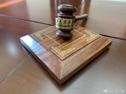 9岁女孩被牵绳狗吓到摔伤主人要担责