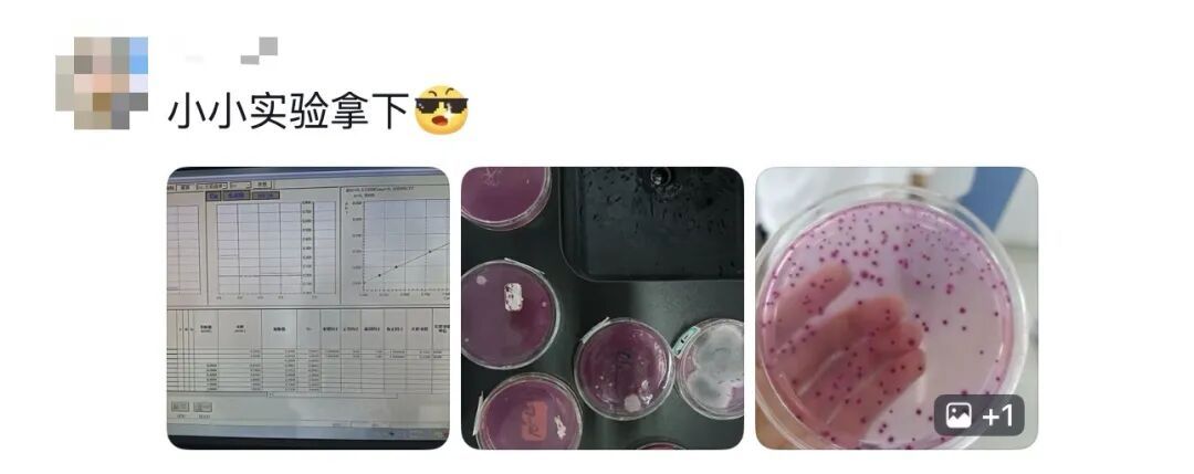 “我就知道你超厉害的！！嗯，我在说我自己”