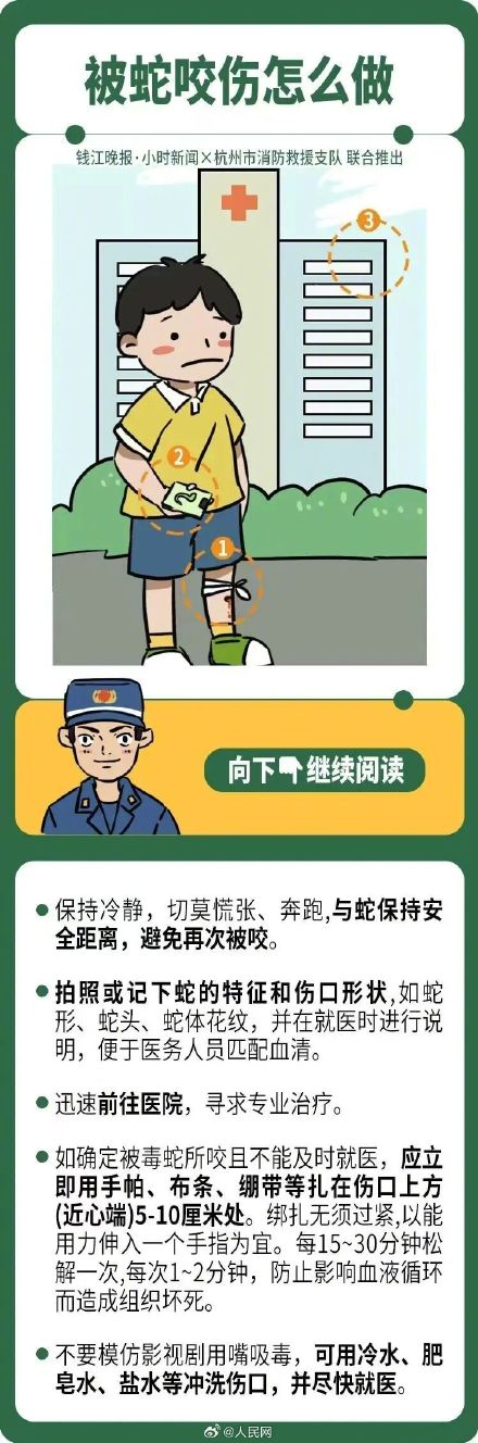 注意！这种蛇个头迷你但暗藏剧毒