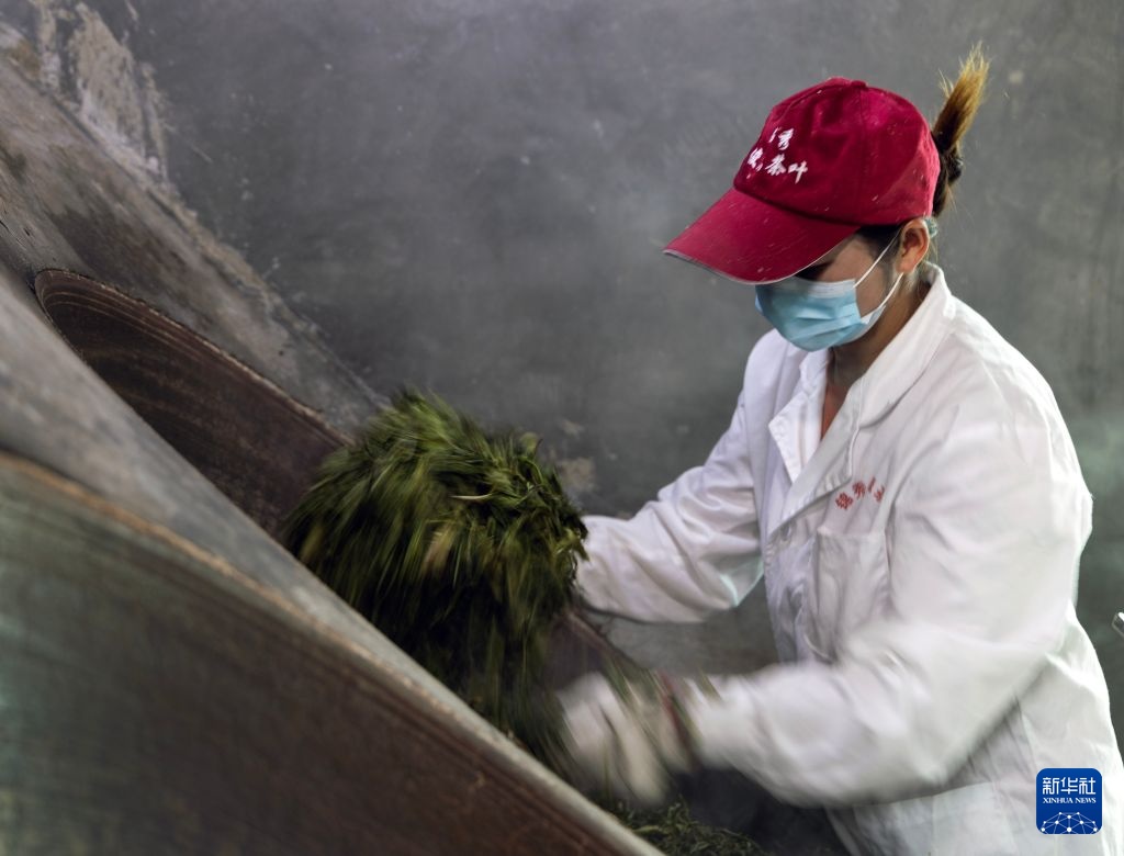 茶乡古镇：云南凤庆掠影