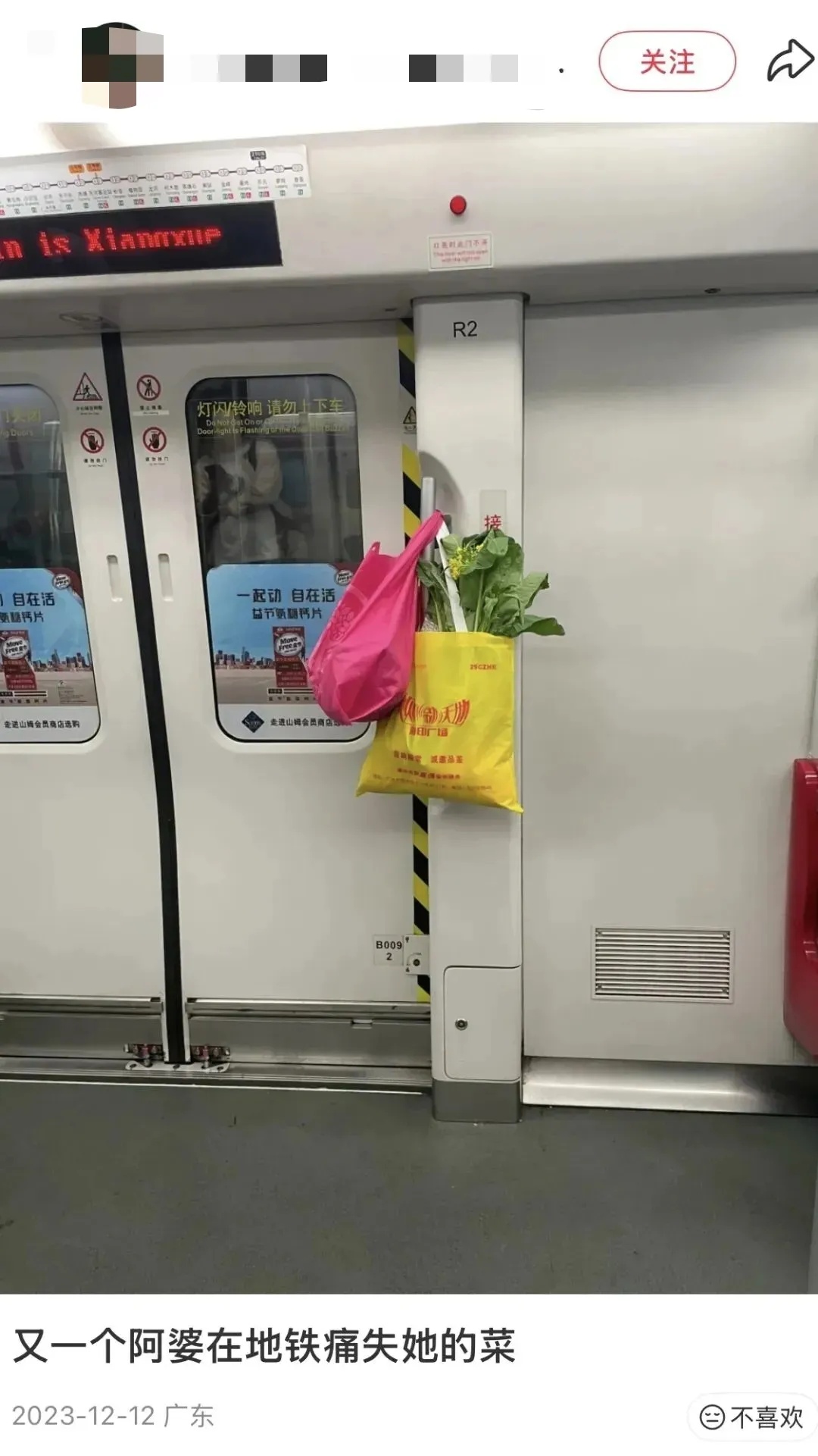 鸡枞菌忘在了深圳地铁上？失主：捡到记得炖汤！网友在线求教程