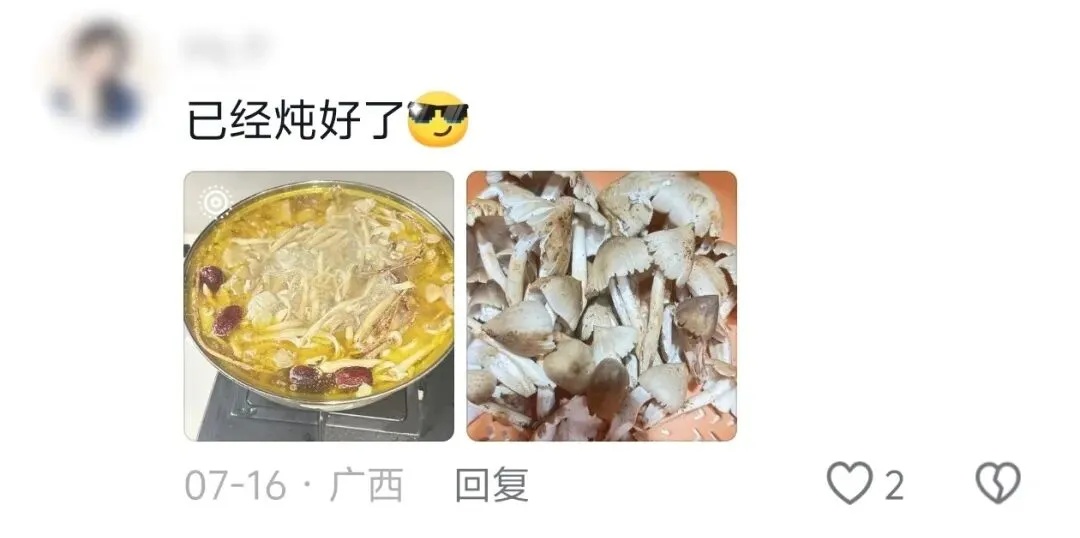 鸡枞菌忘在了深圳地铁上？失主：捡到记得炖汤！网友在线求教程
