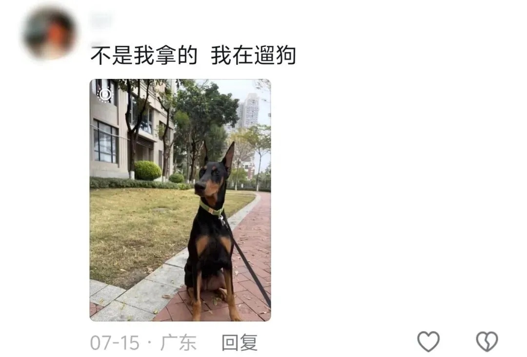 鸡枞菌忘在了深圳地铁上？失主：捡到记得炖汤！网友在线求教程