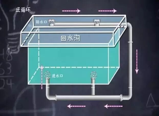 11岁男孩死亡,紧急提醒:千万不要靠近泳池这里 11岁男孩死亡,紧急提醒:千万不要靠近泳池这里
