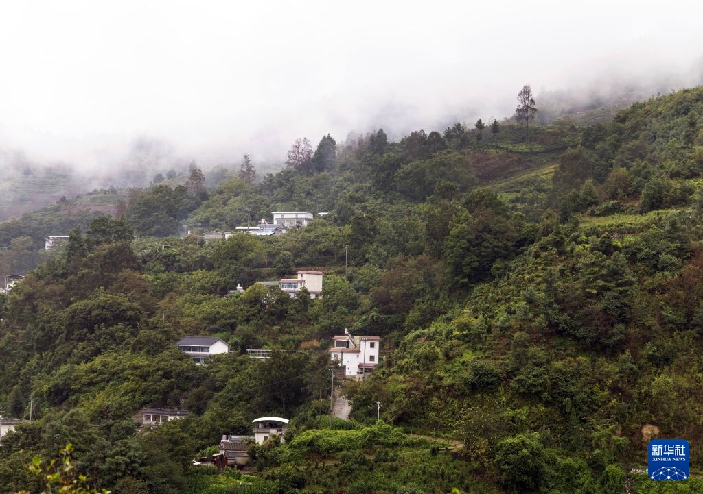 茶乡古镇：云南凤庆掠影
