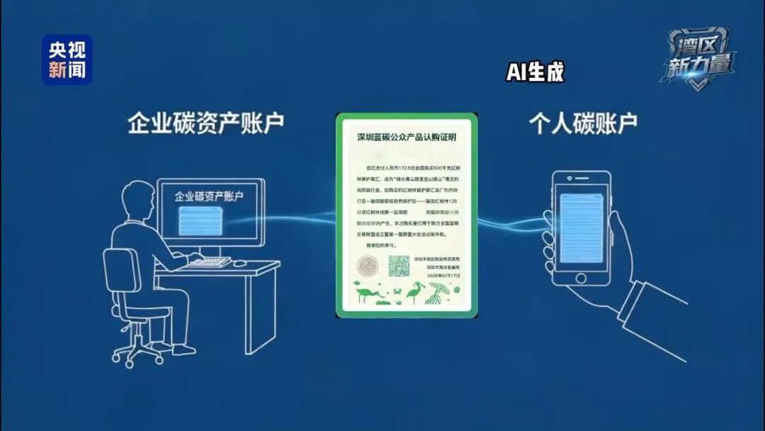 1吨只需300多元，深圳保护红树林“可太会了”