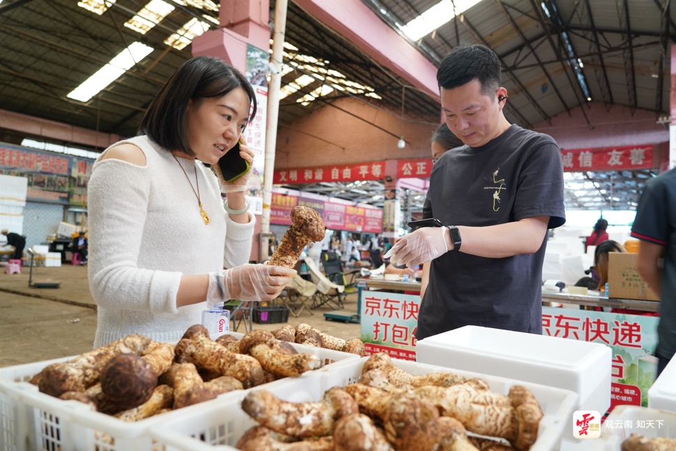 每天卖出500吨!云南这个市场进入“野生菌时间”,全国吃货都来了 每天卖出500吨!云南这个市场进入“野生菌时间”,全国吃货都来了