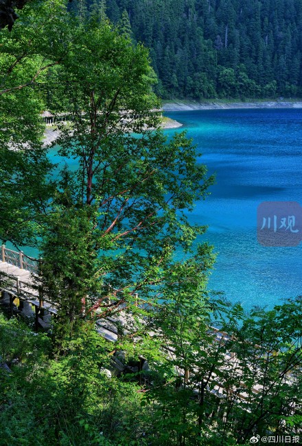 九寨沟景区7月30日起将全域恢复开放 九寨沟景区7月30日起将全域恢复开放
