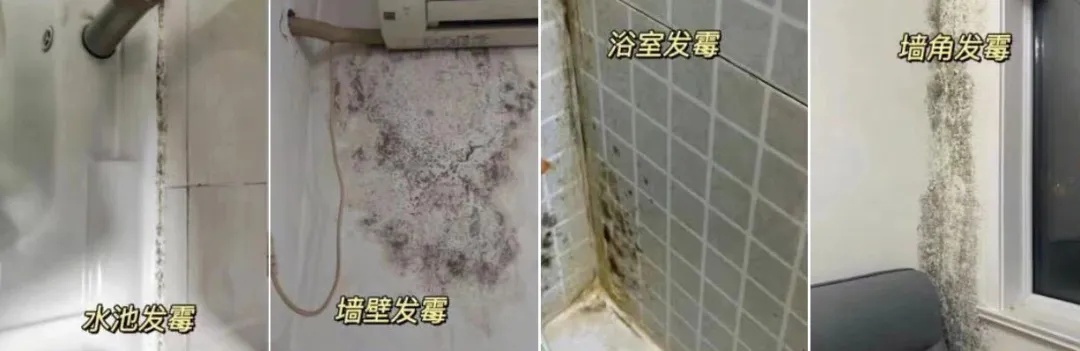 深圳一租客称全家人总生病找不到原因，揭开墙布后发现……紧急提醒！别不当回事
