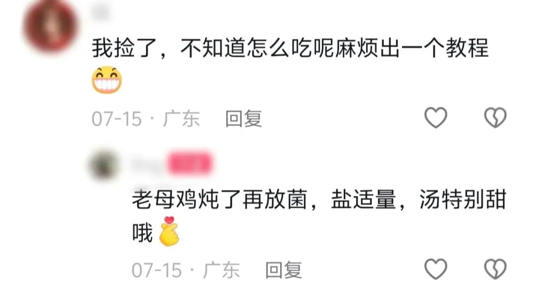 鸡枞菌忘在了深圳地铁上？失主：捡到记得炖汤！网友在线求教程