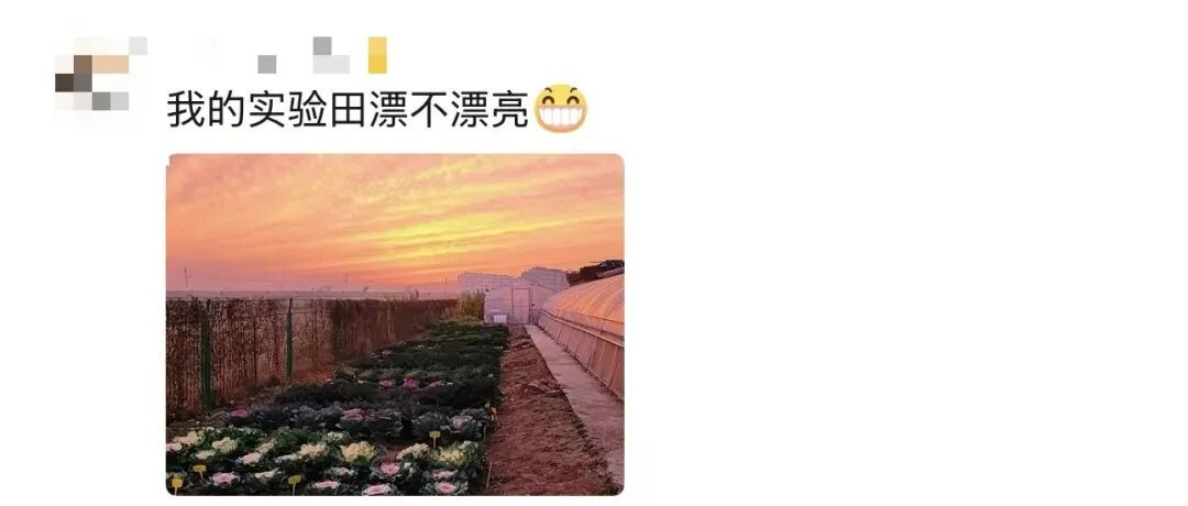 “我就知道你超厉害的！！嗯，我在说我自己”