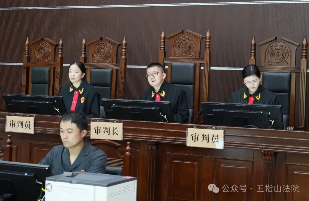 涉案金额超500万！海南一地法院公开审理一起串通投标案