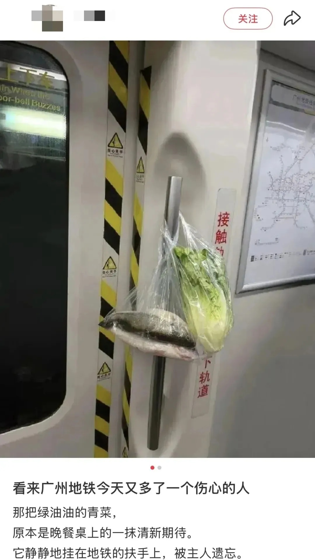 鸡枞菌忘在了深圳地铁上？失主：捡到记得炖汤！网友在线求教程