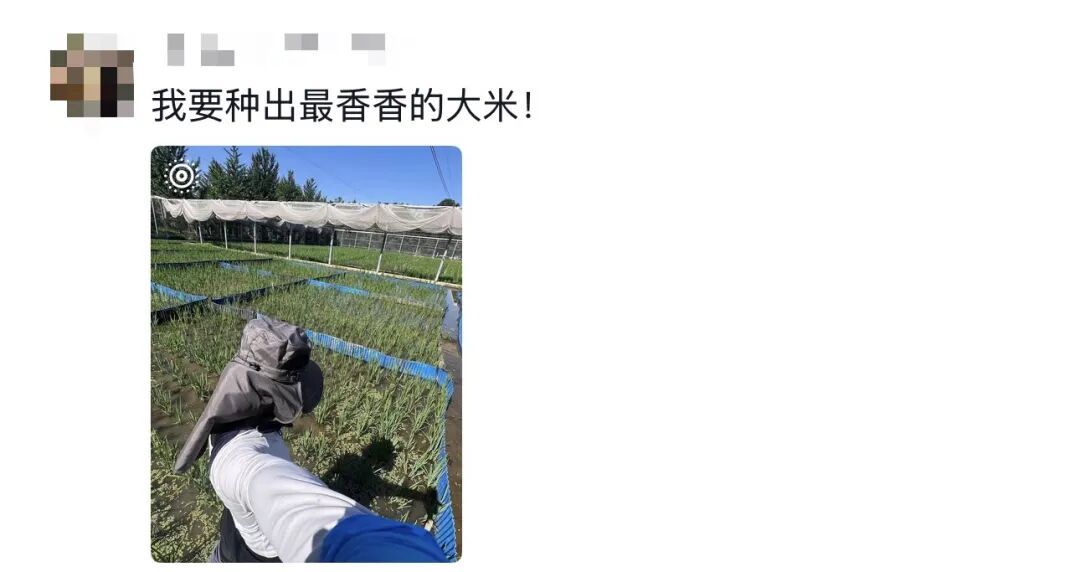 “我就知道你超厉害的！！嗯，我在说我自己”