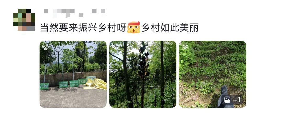 “我就知道你超厉害的！！嗯，我在说我自己”