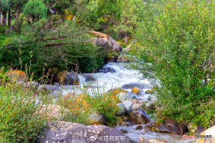 天祝冰沟河彩石流水绘就斑斓美景