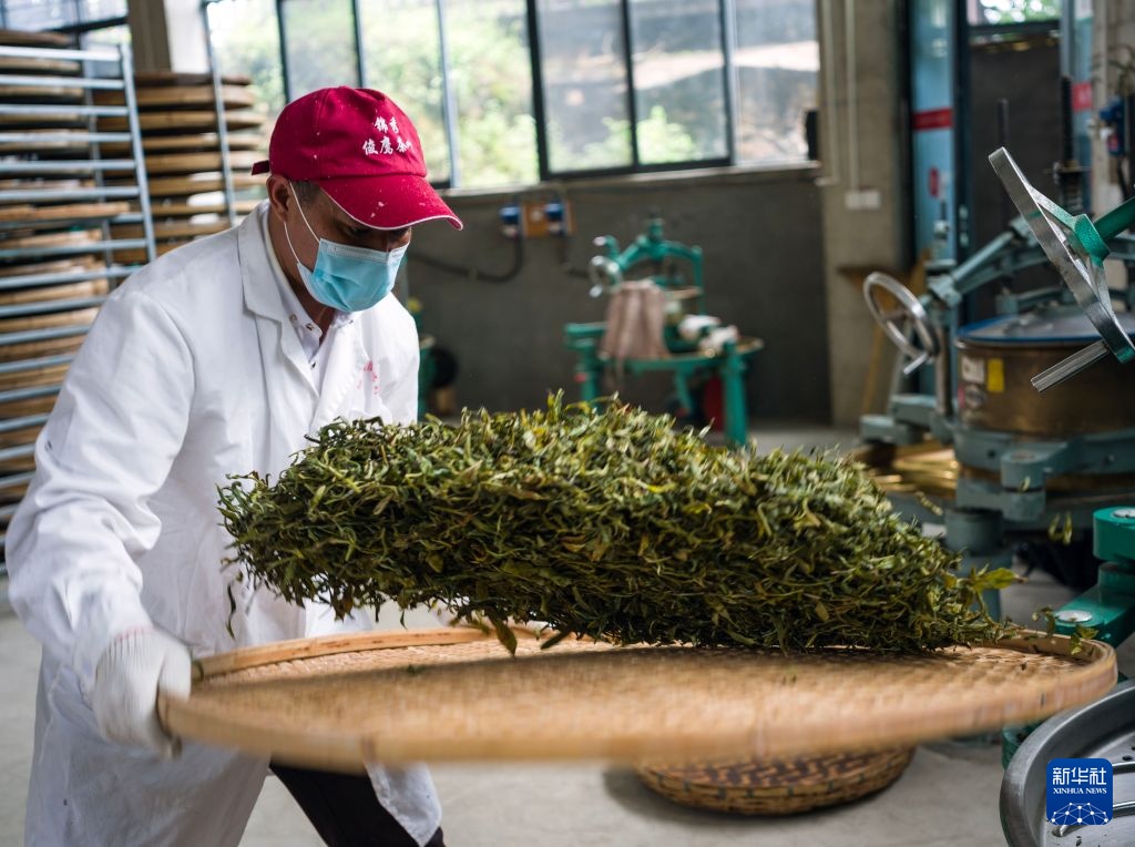 茶乡古镇：云南凤庆掠影