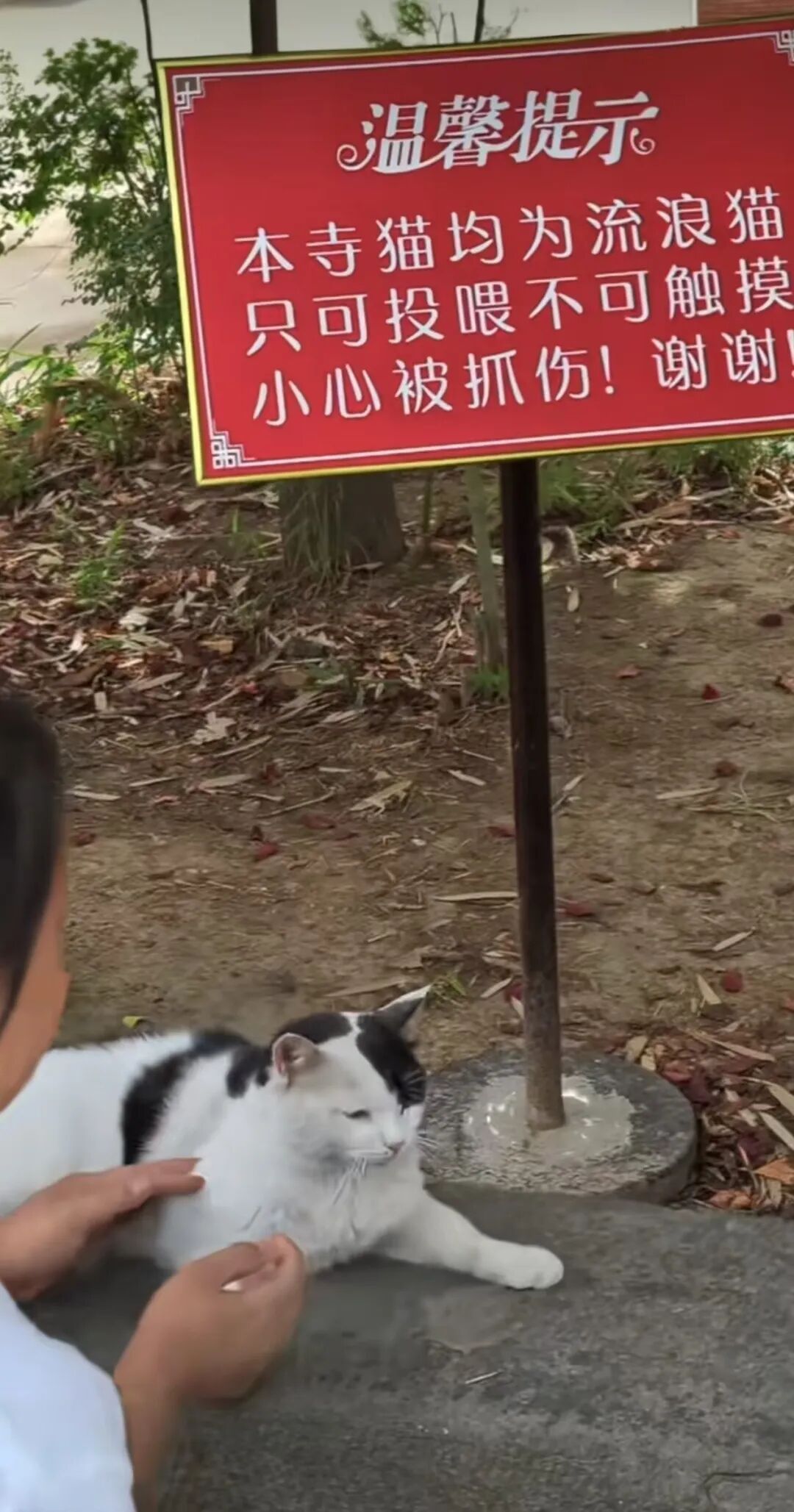 西安一景点石像被游客摸到发亮，景区回应传闻：没有历史，是后面修的