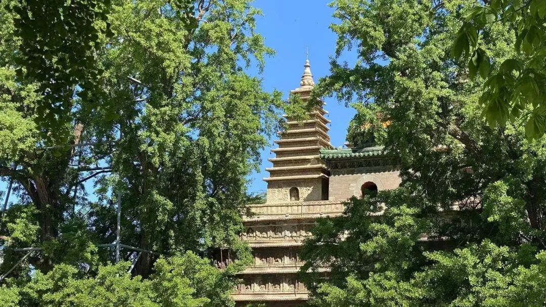 北京一批博物馆采取延时开放! 北京一批博物馆采取延时开放!