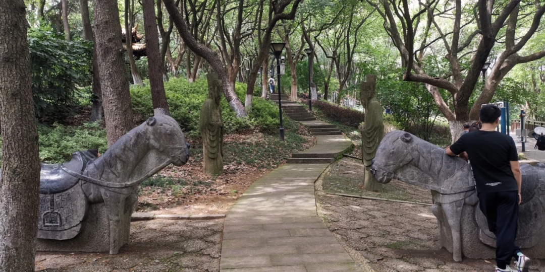 照片曝光!杭州此地发现大量古墓残骸 藏在山体隐蔽处 照片曝光!杭州此地发现大量古墓残骸 藏在山体隐蔽处