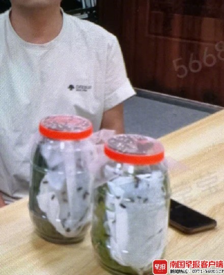 男子携上千只萤火虫坐高铁被查，欲前往外地贩卖